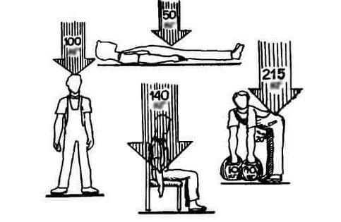 Load on the spine in different positions